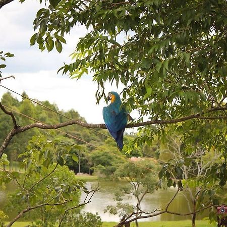 Pousada Fazenda Buracao มูโกกา ภายนอก รูปภาพ